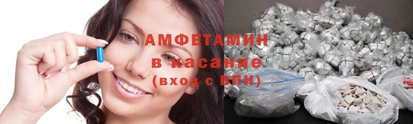 индика Беломорск
