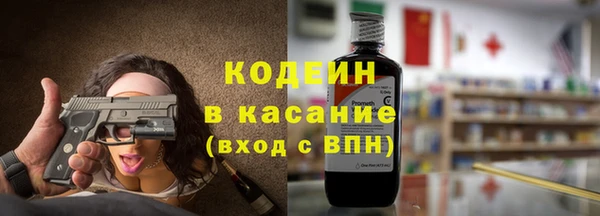 индика Балахна