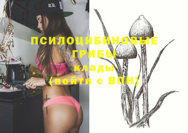 jwh Белокуриха