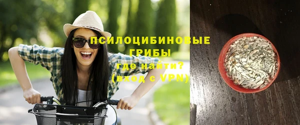 jwh Белокуриха
