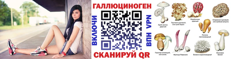 Псилоцибиновые грибы мухоморы  закладка  Мамадыш 